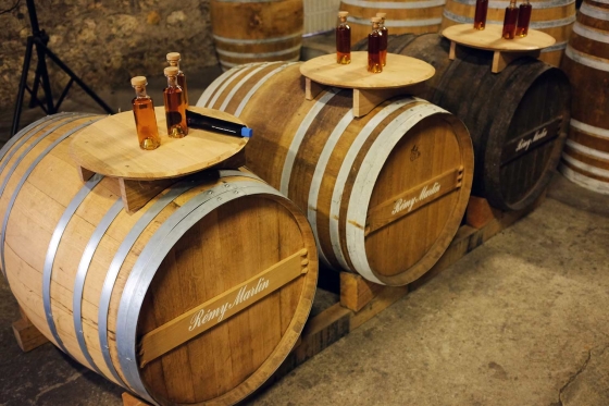 Бочки с коньяком на фабрике Remy Martin в городе Коньяк 