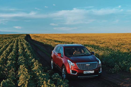 Красный Cadillac XT5 едет по полю