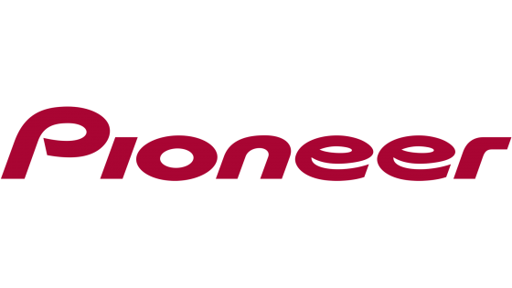 Партнер по работе фотографа Pioneer