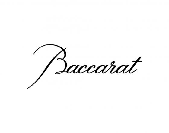 Партнер по работе фотографа Baccarat