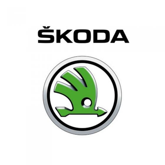 Партнер по работе фотографа Skoda